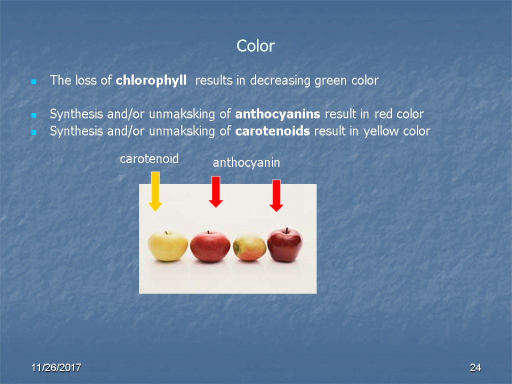 Color The loss of chlorophyll results in decreasing green color Synthesis and/or unmaksking of Color The loss of chlorophyll results in decreasing green color Synthesis and/or unmaksking of